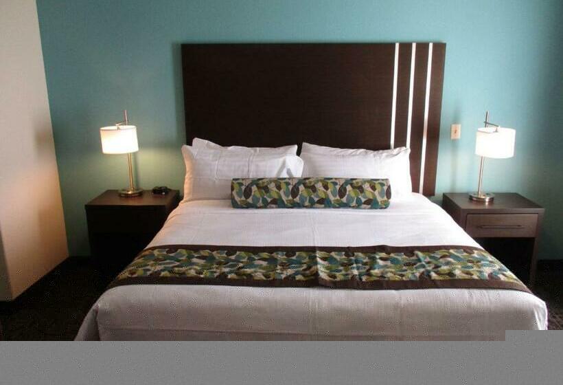 اتاق استاندارد با تخت بزرگ, Best Western Plus/executive Residency Elk City