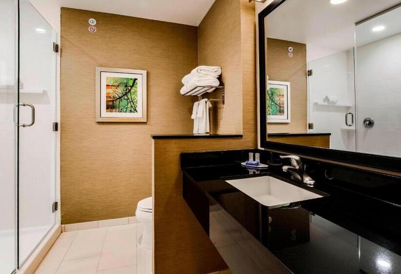 اتاق استاندارد با تخت بزرگ, Fairfield Inn & Suites By Marriott Pecos