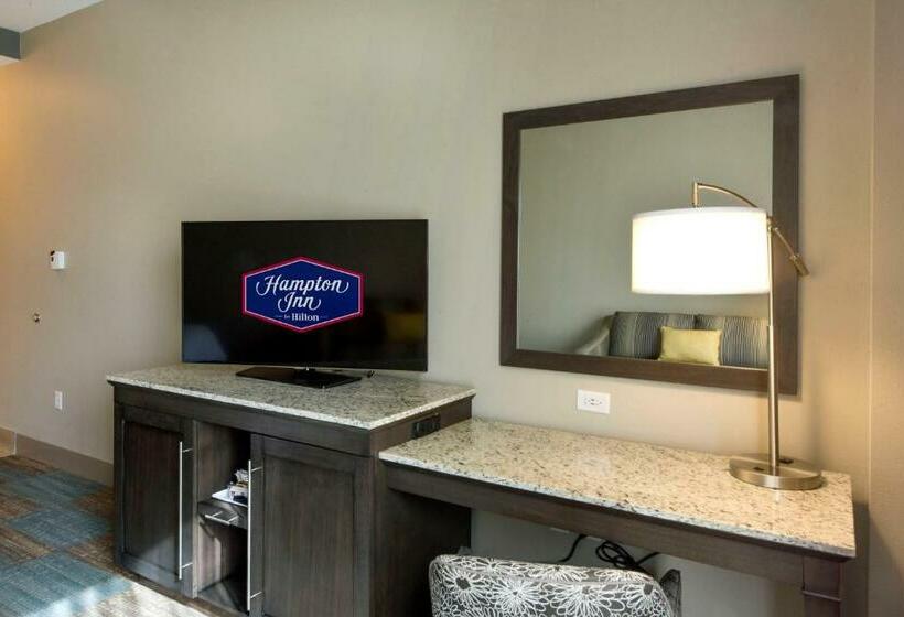 اتاق استاندارد با تخت بزرگ برای معلولان, Hampton Inn Lumberton