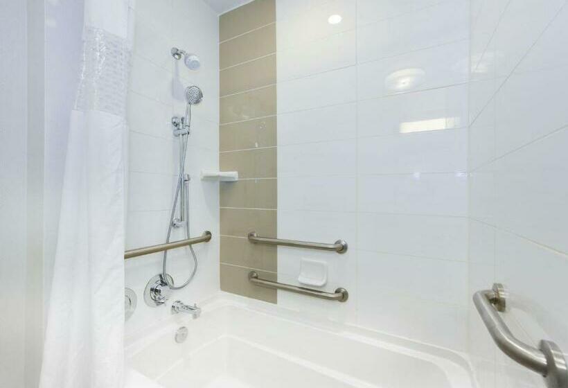 اتاق استاندارد با تخت بزرگ برای معلولان, Hampton Inn Lumberton