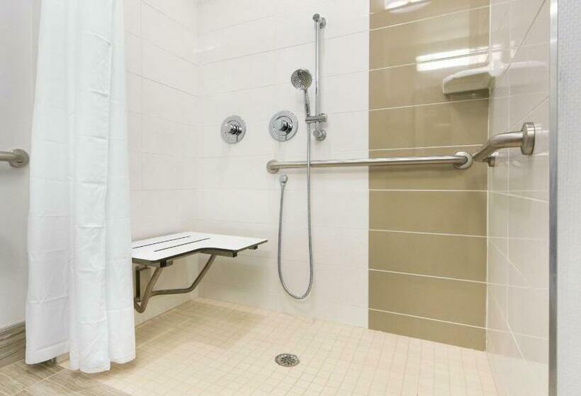 اتاق استاندارد با تخت بزرگ برای معلولان, Hampton Inn Lumberton
