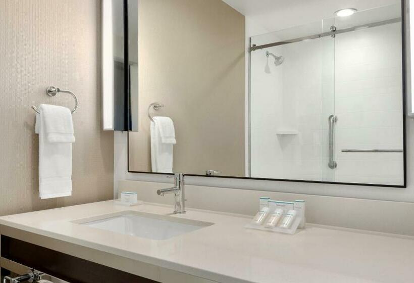 اتاق لوکس با تخت بزرگ, Hilton Garden Inn Medford, Or 