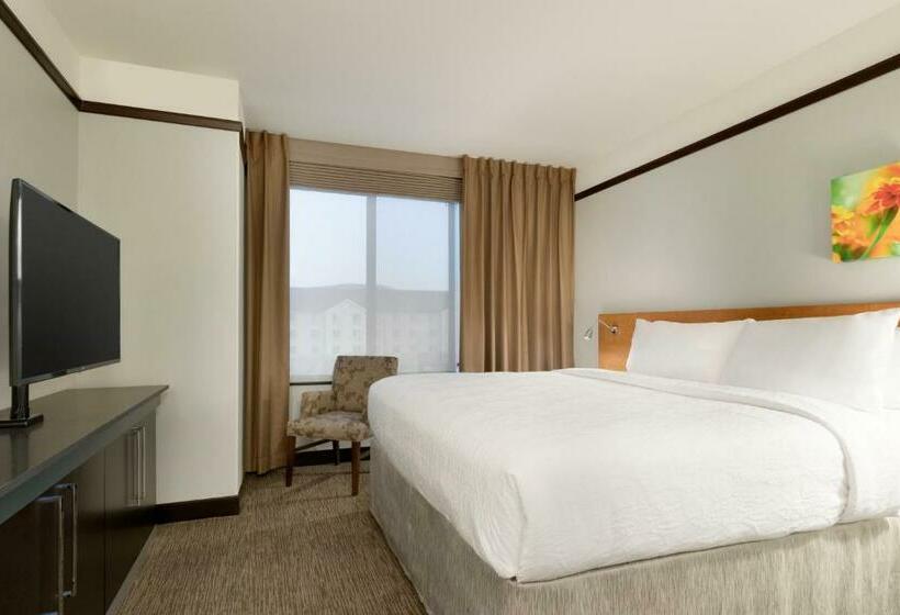 اتاق لوکس با تخت بزرگ, Hilton Garden Inn Medford, Or 