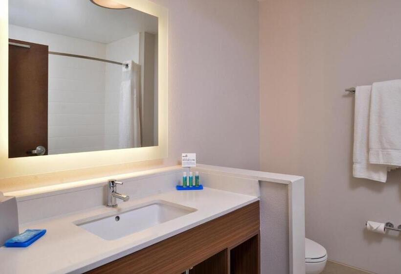 اتاق استاندارد, Holiday Inn Express & Suites   Van Horn, An Ihg