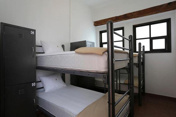 تختخواب در اتاق مشترک, Mexico City Hostel