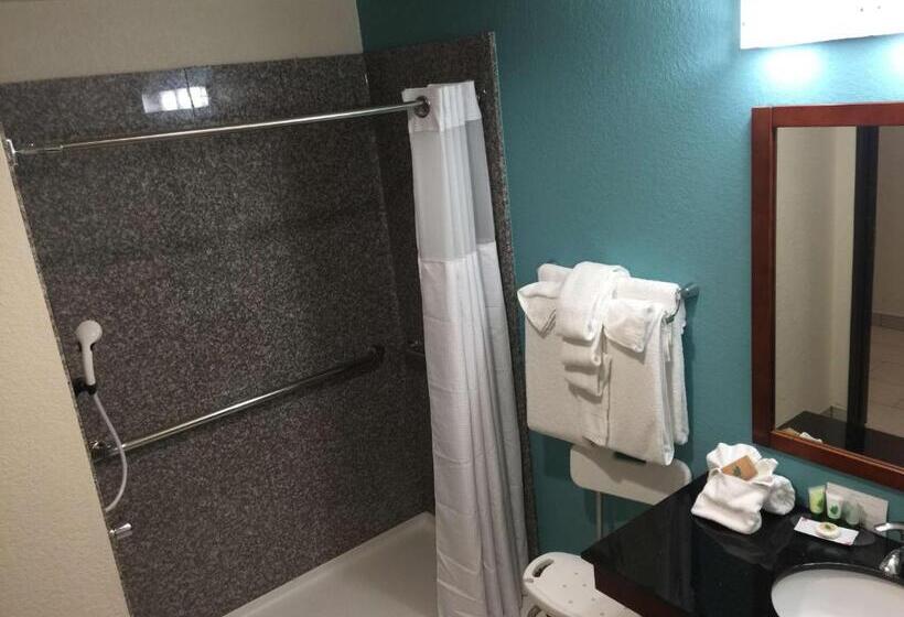 اتاق استاندارد با تخت بزرگ برای معلولان, Best Western Plus/executive Residency Elk City