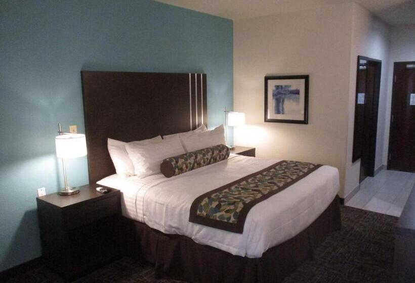 اتاق استاندارد با تخت بزرگ برای معلولان, Best Western Plus/executive Residency Elk City