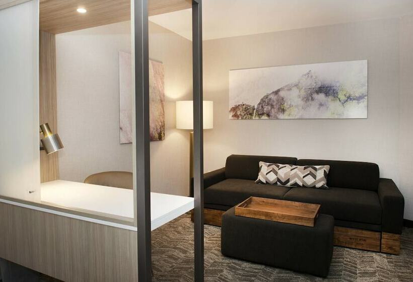 سوییت, Springhill Suites By Marriott Seattle Issaquah