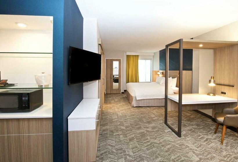 سوئیت با تخت بزرگ, Springhill Suites By Marriott Seattle Issaquah