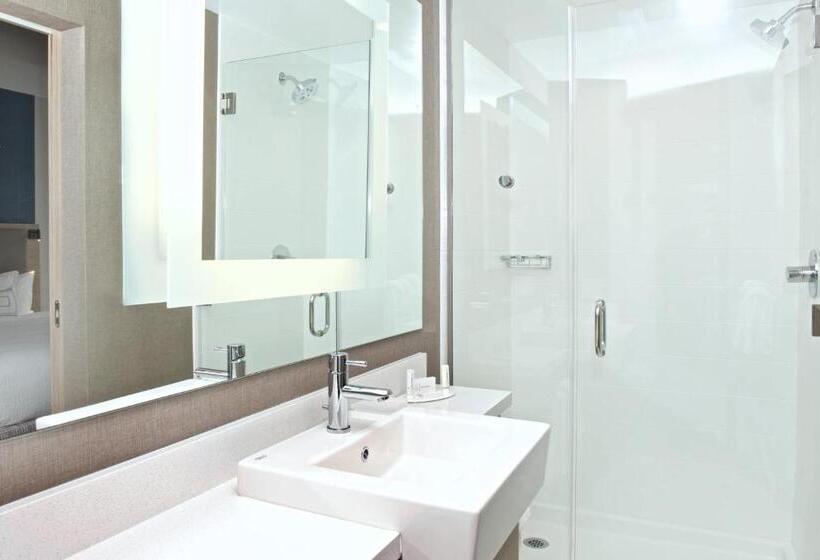 Suite Queen Bed, Springhill Suites By Marriott Seattle Issaquah