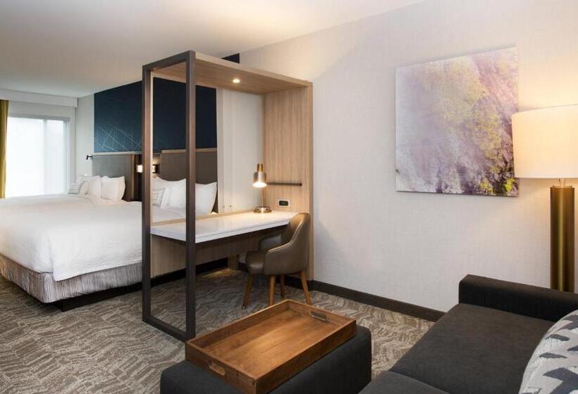 Suite Queen Bed, Springhill Suites By Marriott Seattle Issaquah