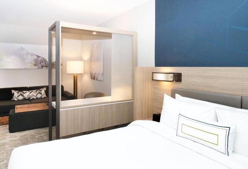 سوییت, Springhill Suites By Marriott Seattle Issaquah