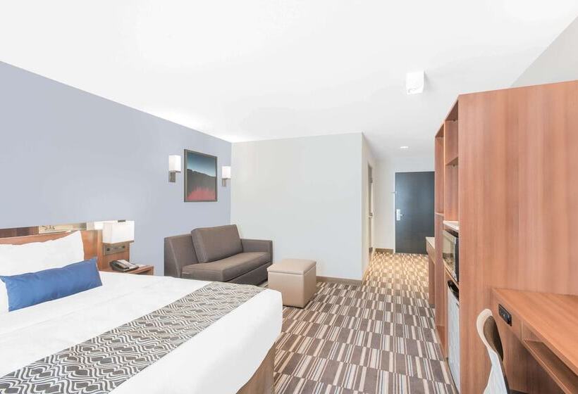 اتاق استاندارد با تخت دو نفره بزرگ برای معلولان, Microtel Inn & Suites By Wyndham Binghamton