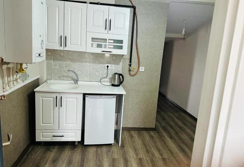 آپارتمان 1 خوابه با تراس, Taksim 52 Suite