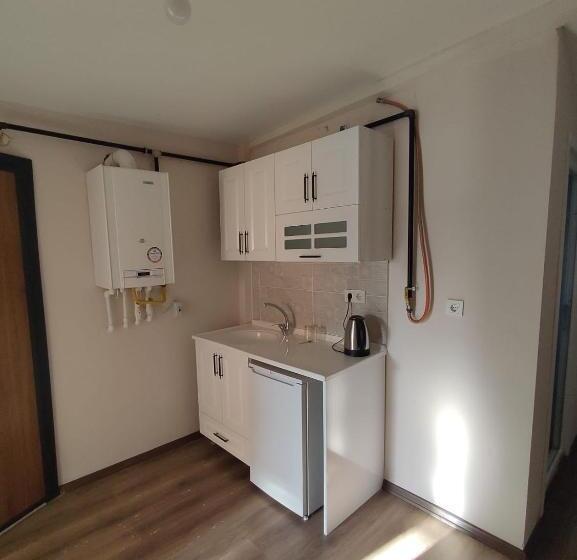 آپارتمان 1 خوابه با تراس, Taksim 52 Suite