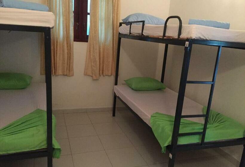 تختخواب در اتاق مشترک, Damith Guest House