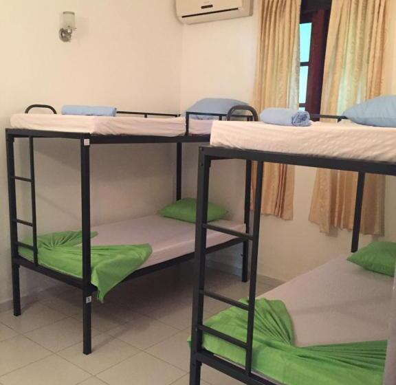تختخواب در اتاق مشترک, Damith Guest House