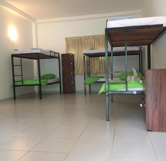 تختخواب در اتاق مشترک, Damith Guest House