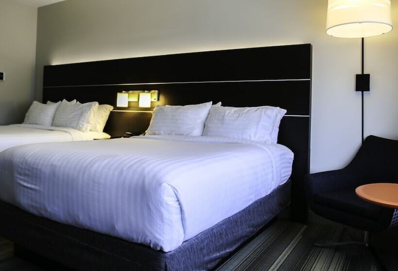 اتاق استاندارد, Holiday Inn Express & Suites Kingston Ulster, An Ihg