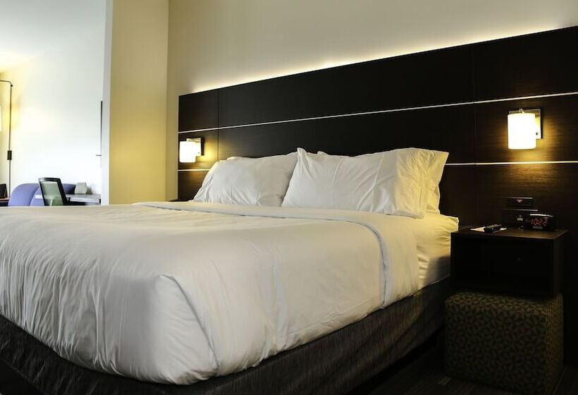 اتاق استاندارد با تخت دوبل برای معلولان, Holiday Inn Express & Suites Kingston Ulster, An Ihg