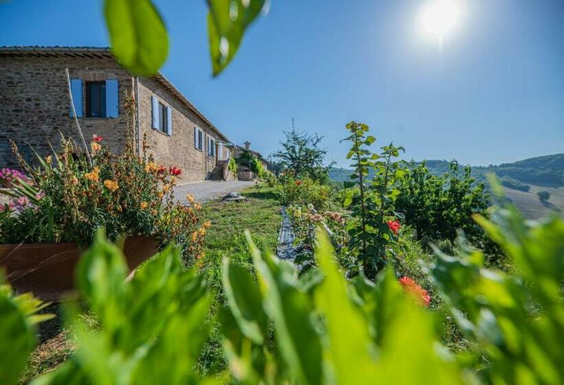 اتاق استاندارد, Suite Con Bagno In Villa Esclusiva   Urbino