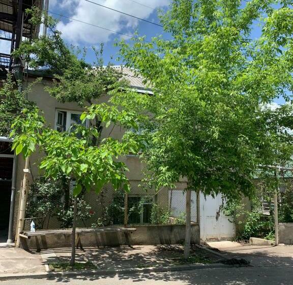 اتاق استاندارد, Dendrobak Guesthouse