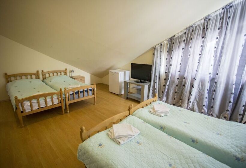 اتاق استاندارد چهار تخته, Villa Vita Bakuriani