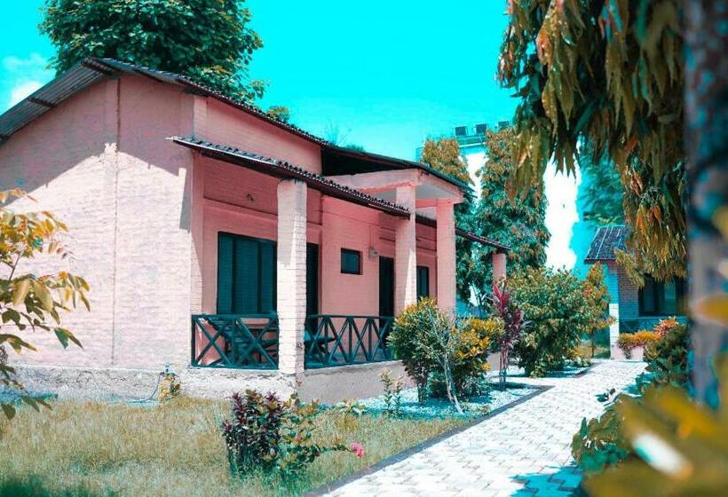 اتاق استاندارد یک نفره, Safari Wildlife Lodge & Camp