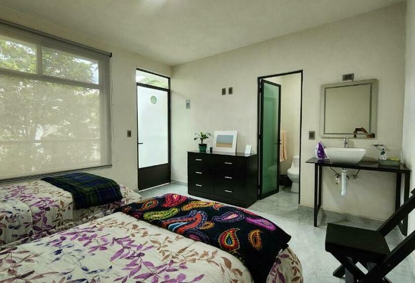 اتاق استاندارد, La Palma Coliving