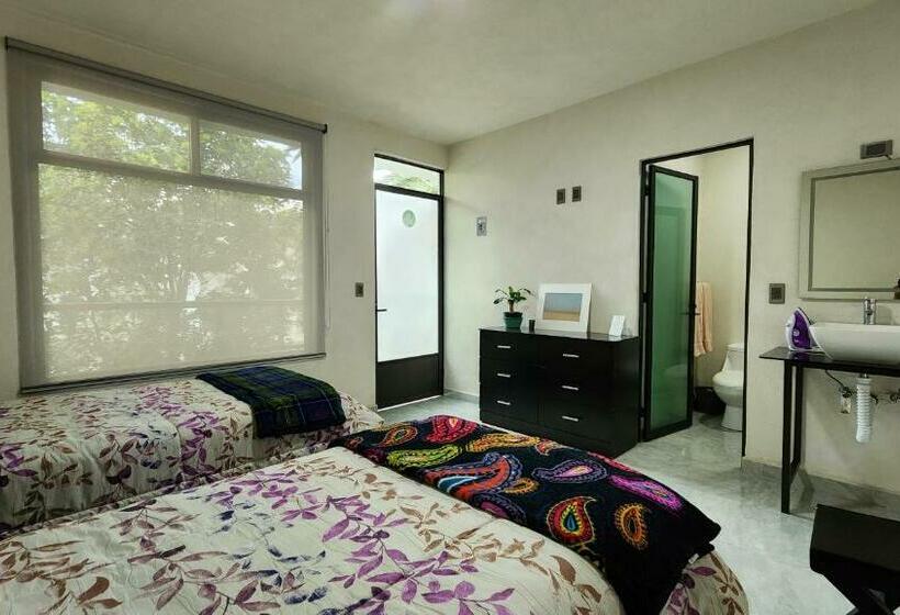 اتاق استاندارد, La Palma Coliving