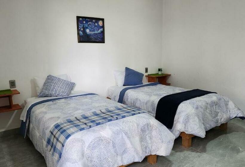 اتاق استاندارد, La Palma Coliving