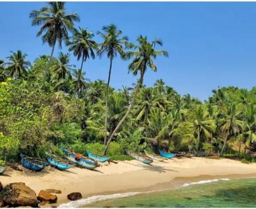 اتاق استاندارد, Beach Front Pool Resort