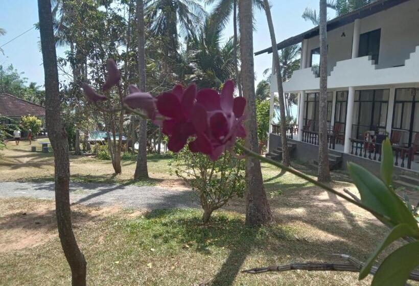 اتاق استاندارد, Beach Front Pool Resort