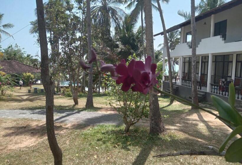 اتاق لوکس, Beach Front Pool Resort