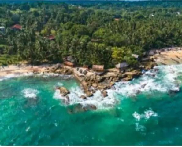 اتاق لوکس, Beach Front Pool Resort