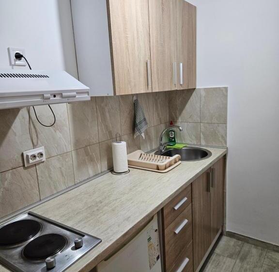 اتاق استاندارد با بالکن, Apartmani Račeta