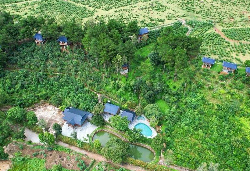 ویلای استاندارد با چشم‌انداز باغ, Tân Uyên Paradise