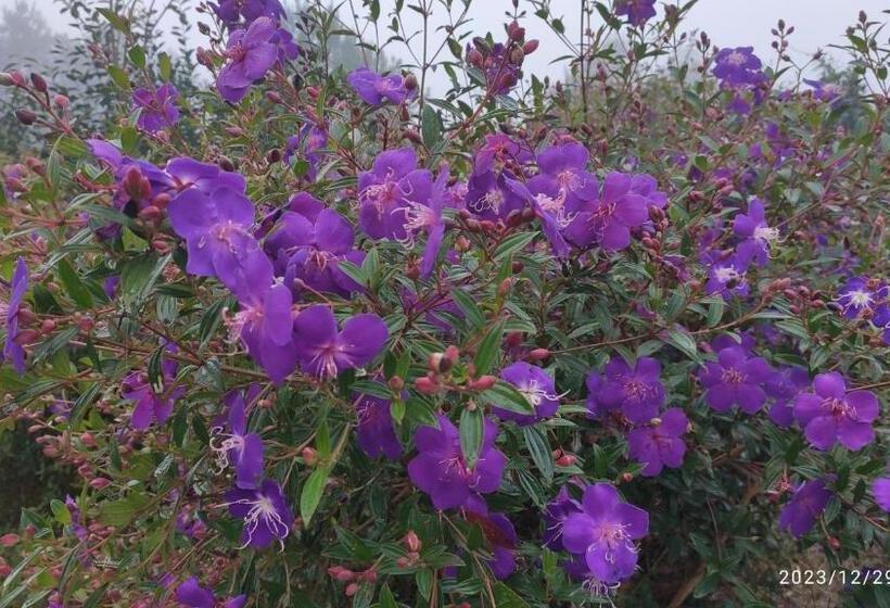 اتاق اکونومی یک تخته, Tân Uyên Paradise