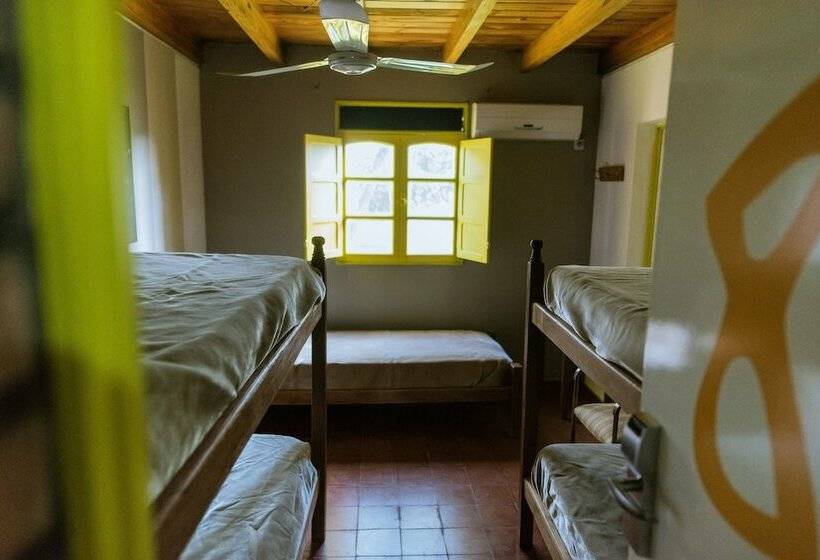 تختخواب در اتاق مشترک, Hostel Valle Fertil