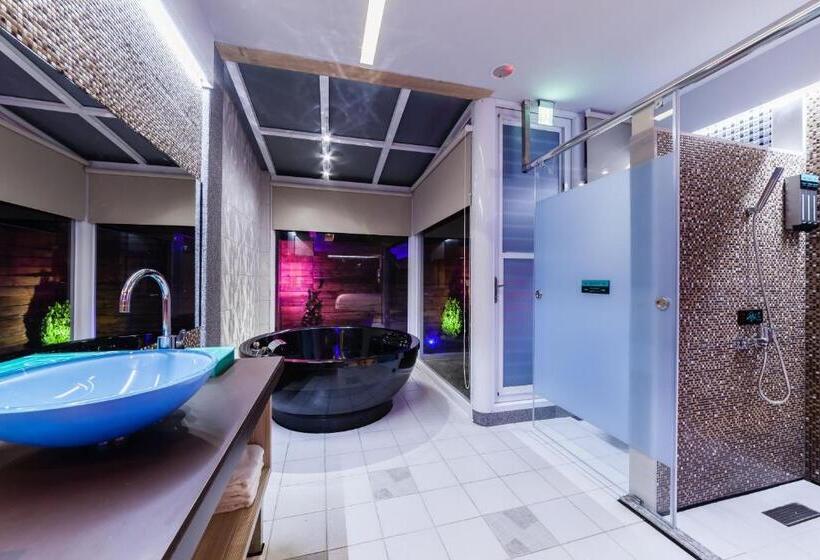 اتاق استاندارد, Ty Motel