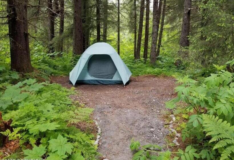 چادر با خدمات رفاهی استاندارد, Bear Necessities Alaska