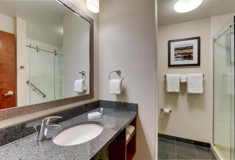 اتاق لوکس با تخت دو نفره بزرگ, Drury Plaza Hotel Dallas Arlington
