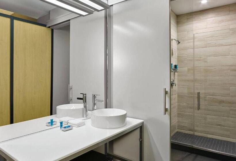اتاق استاندارد با چشم‌انداز استخر, Aloft Miami Airport