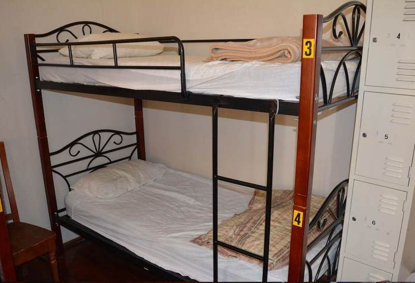 تختخواب در اتاق مشترک, Sydney City Hostel