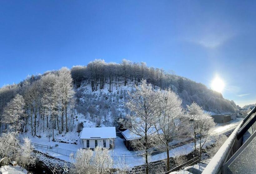 اتاق لوکس یک تخته, Naturboutique Hotel Rauszeit