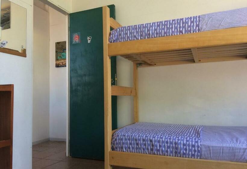 تختخواب در اتاق مشترک, Pinamar Hostel Casa De Verano