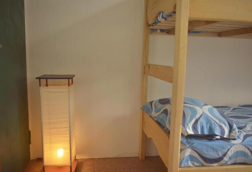 اتاق استاندارد با سرویس بهداشتی مشترک, Pinamar Hostel Casa De Verano