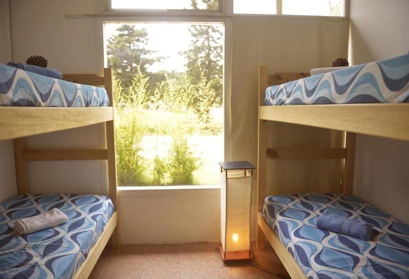 اتاق استاندارد با سرویس بهداشتی مشترک, Pinamar Hostel Casa De Verano