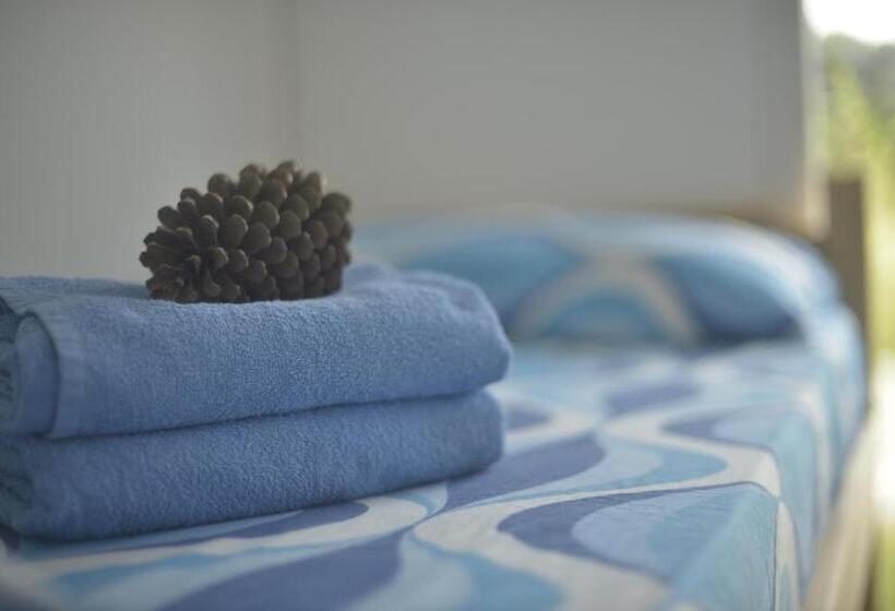 اتاق استاندارد با سرویس بهداشتی مشترک, Pinamar Hostel Casa De Verano