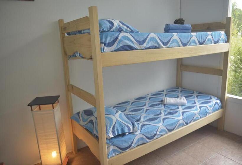 اتاق استاندارد با سرویس بهداشتی مشترک, Pinamar Hostel Casa De Verano